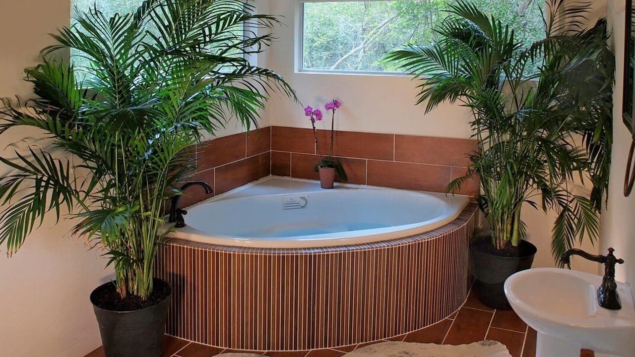 Photo of Bathroom in Cat Spring