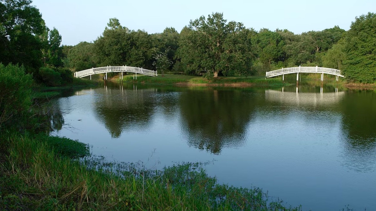 Photo of Others in Cat Spring