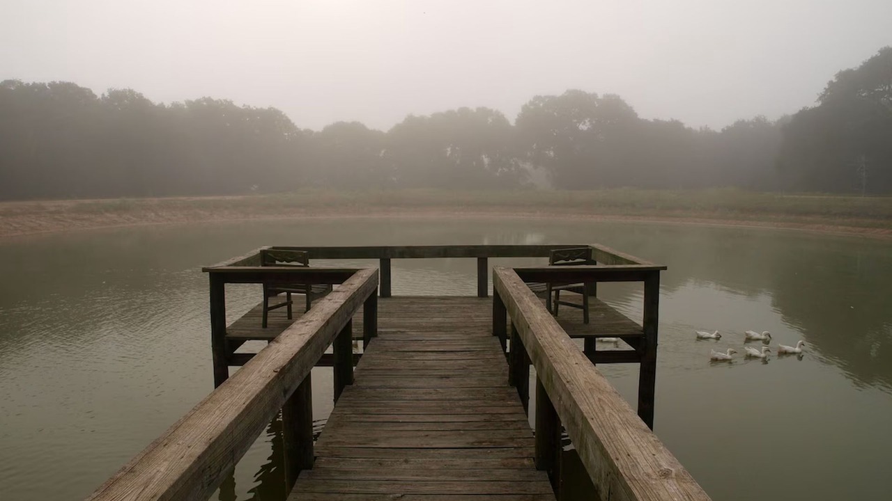 Photo of Outdoor in Cat Spring