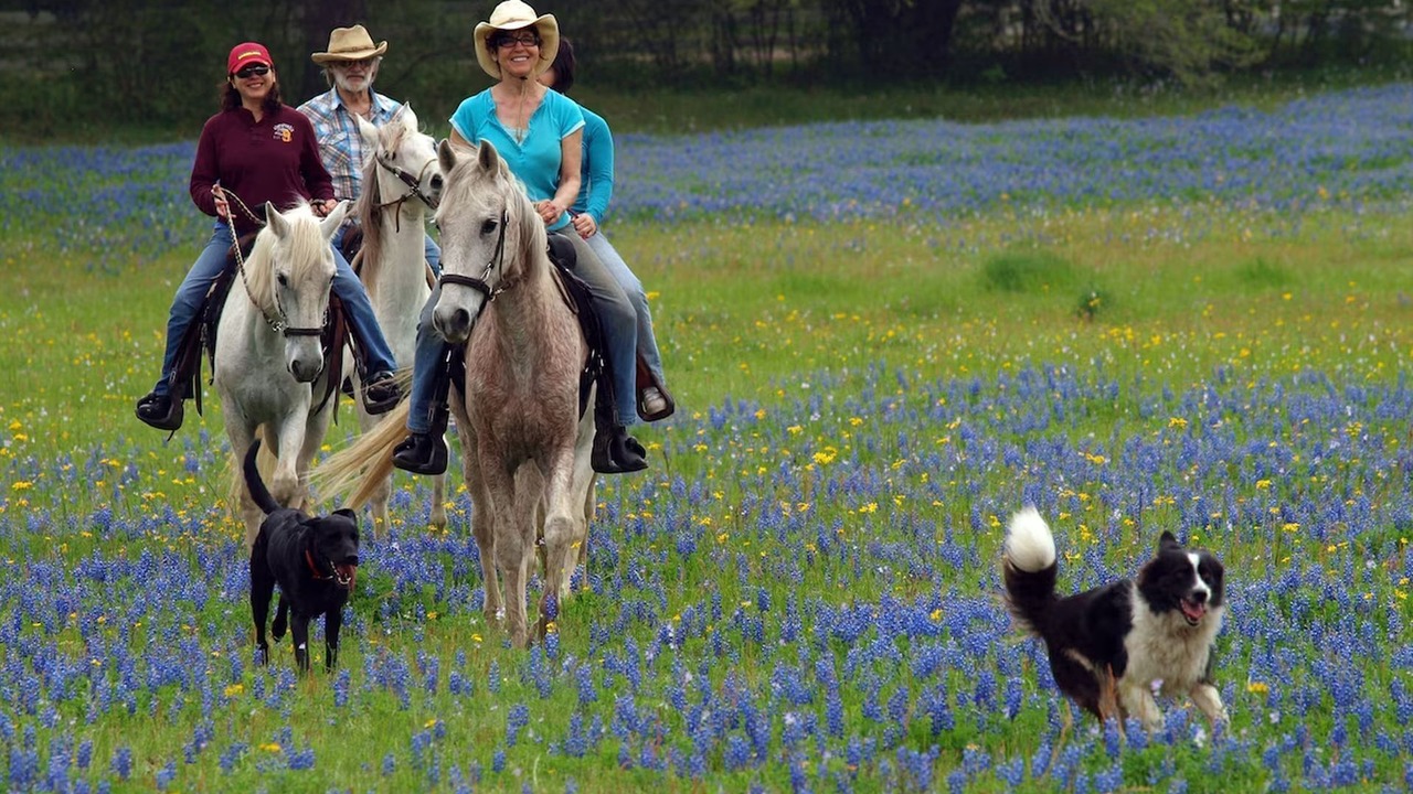 Photo of Others in Cat Spring