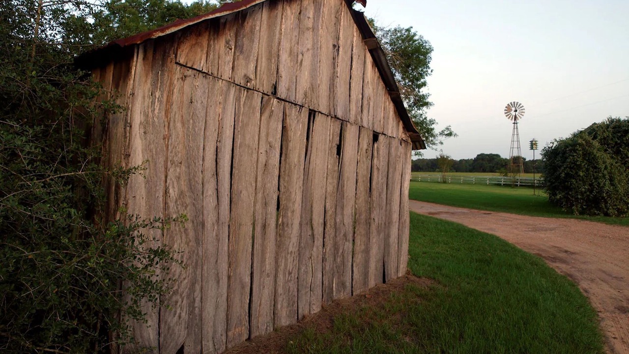 Photo of Outdoor in Cat Spring