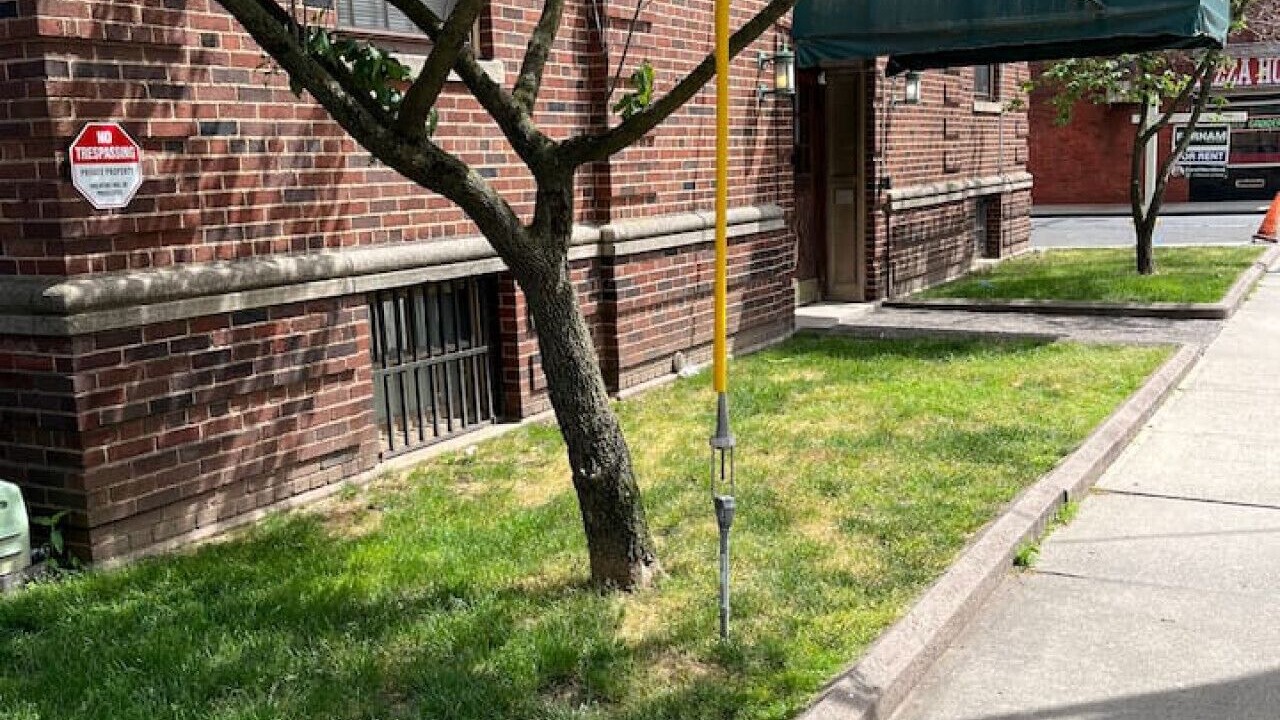 Photo of Others in Dwight