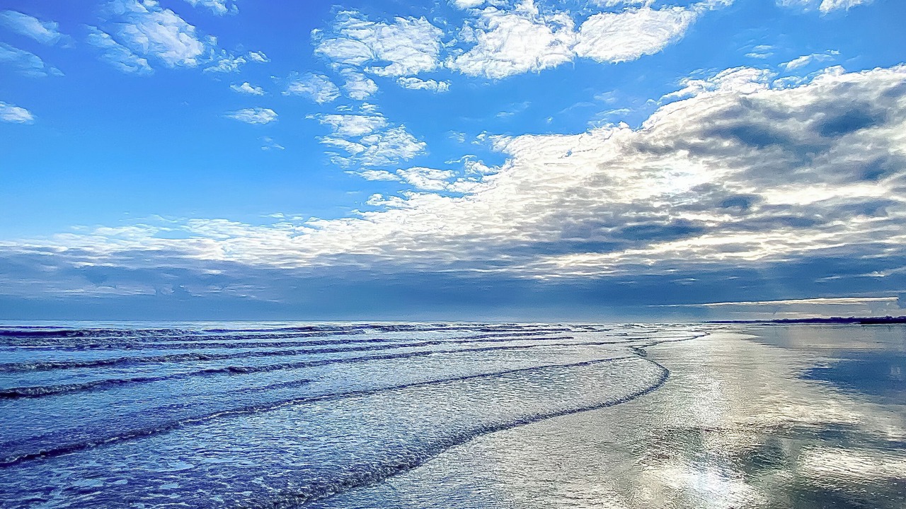 Photo of Others in Driffield