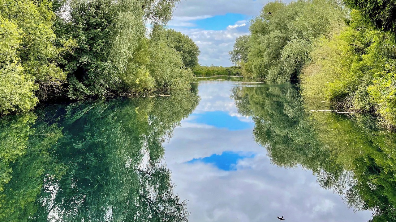 Photo of Others in Driffield