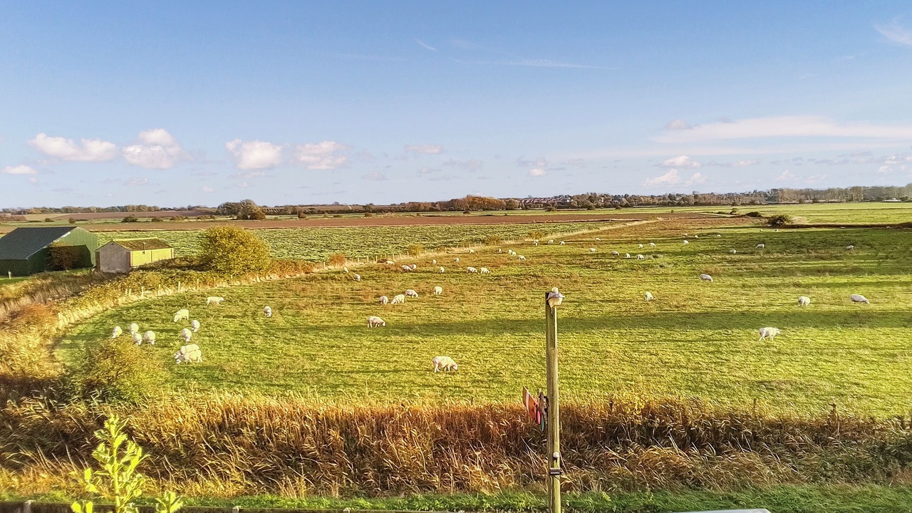 Photo of Patio Balcony in Stodmarsh