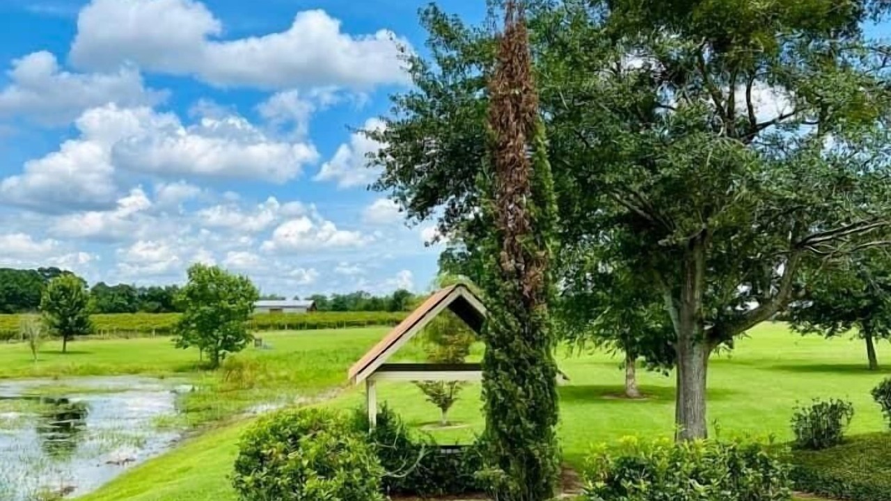 Photo of Outdoor in Hartsfield