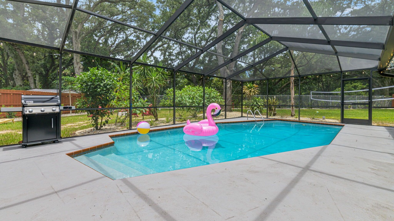 Photo of Outdoor in Palm Harbor