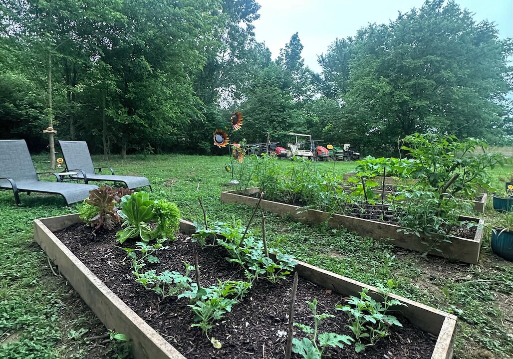 Photo of Outdoor in Murfreesboro