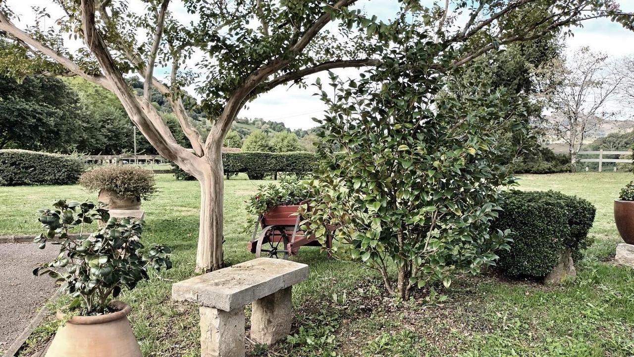 Photo of Outdoor in Mendionde