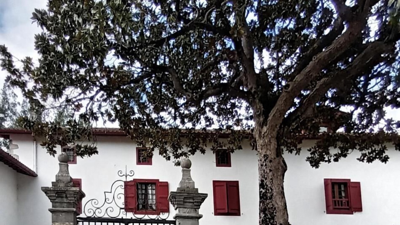 Photo of Outdoor in Mendionde