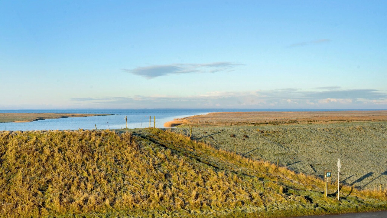 Photo of Others in Ribe