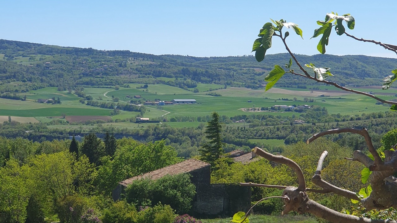 Photo of Outdoor in Saint-Michel-l'Observatoire