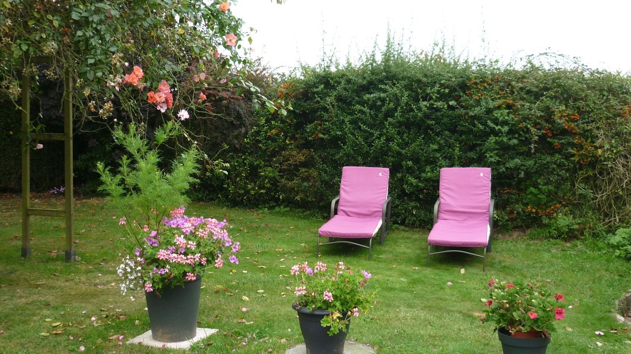 Photo of Outdoor in Canchy