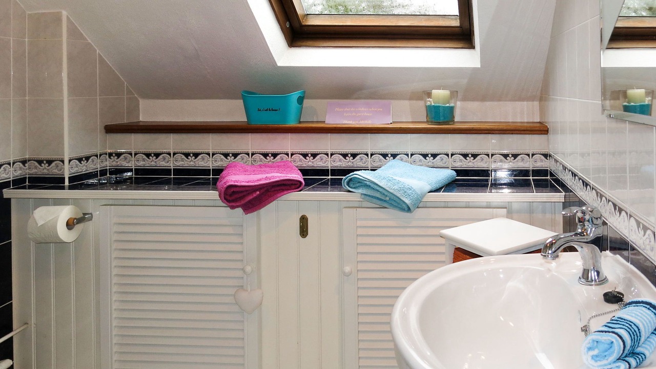 Photo of Bathroom in Canchy