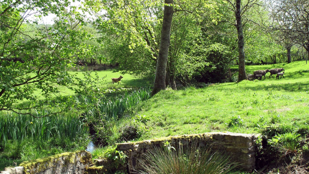 Photo of Others in Hudimesnil