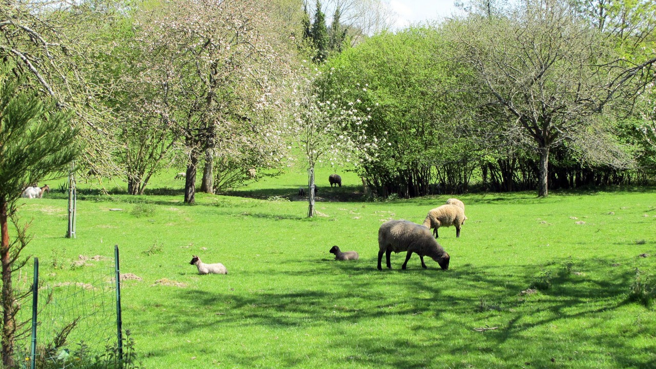 Photo of Others in Hudimesnil