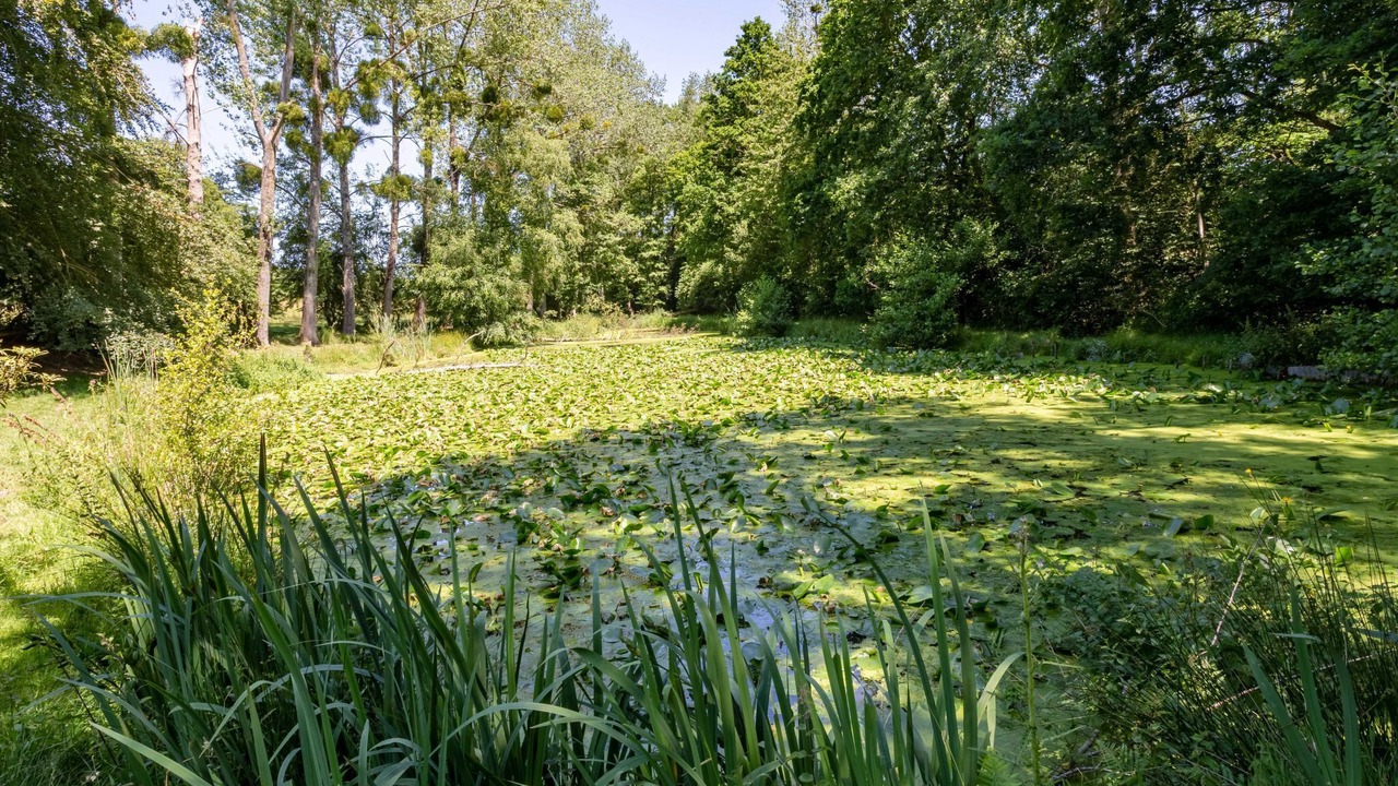 Photo of Outdoor in Hudimesnil