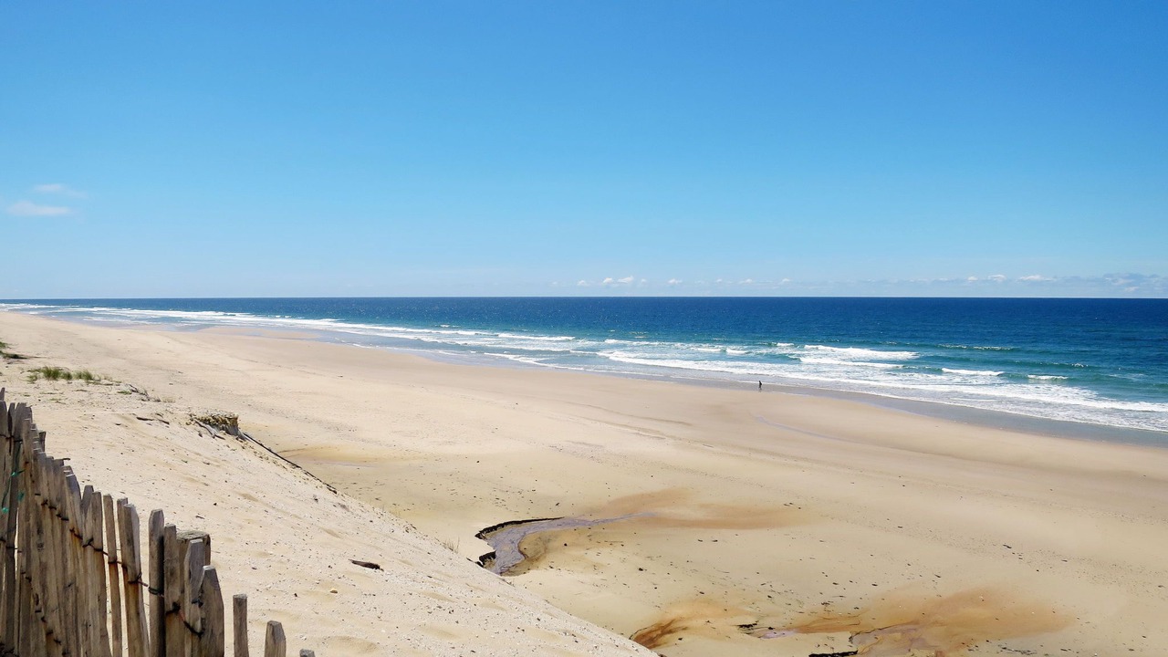 Photo of Others in Gaillan-en-Medoc