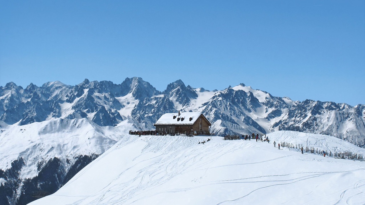 Photo of Others in Vex