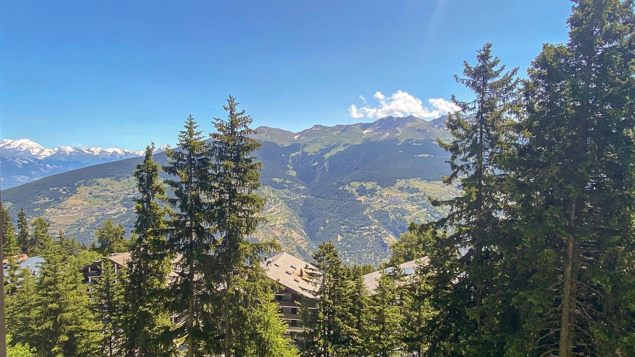 Photo of Others in Vex