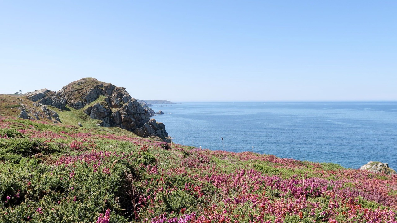 Photo of Others in Goulien