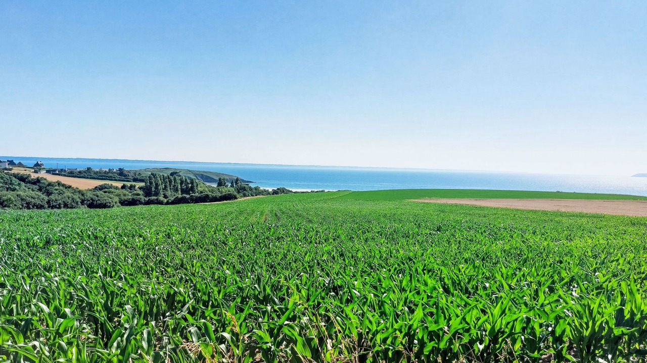 Photo of Others in Telgruc-sur-Mer
