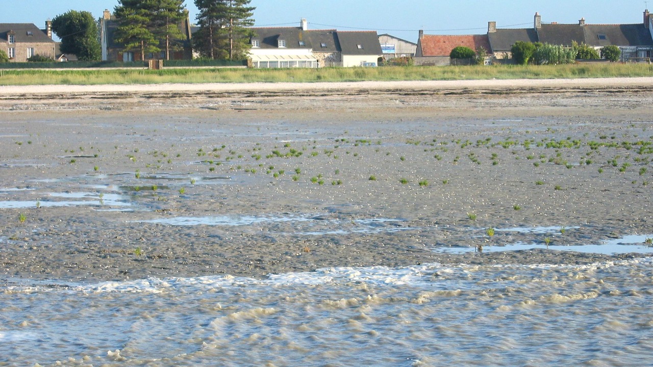 Photo of Others in Cherrueix