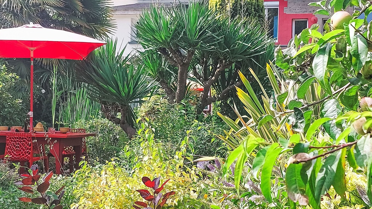 Photo of Others in Plerin