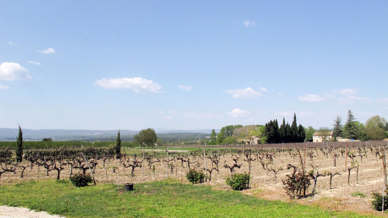 Photo of Others in Menerbes