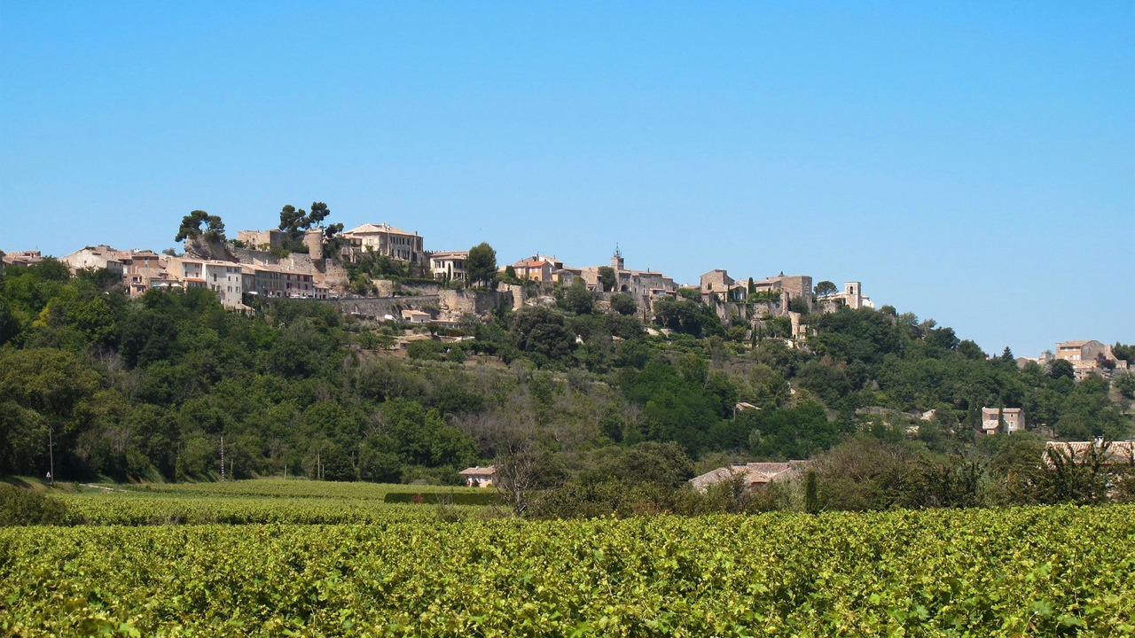 Photo of Others in Menerbes