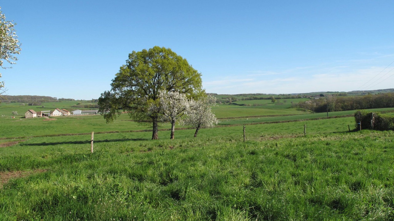 Photo of Others in Ternant