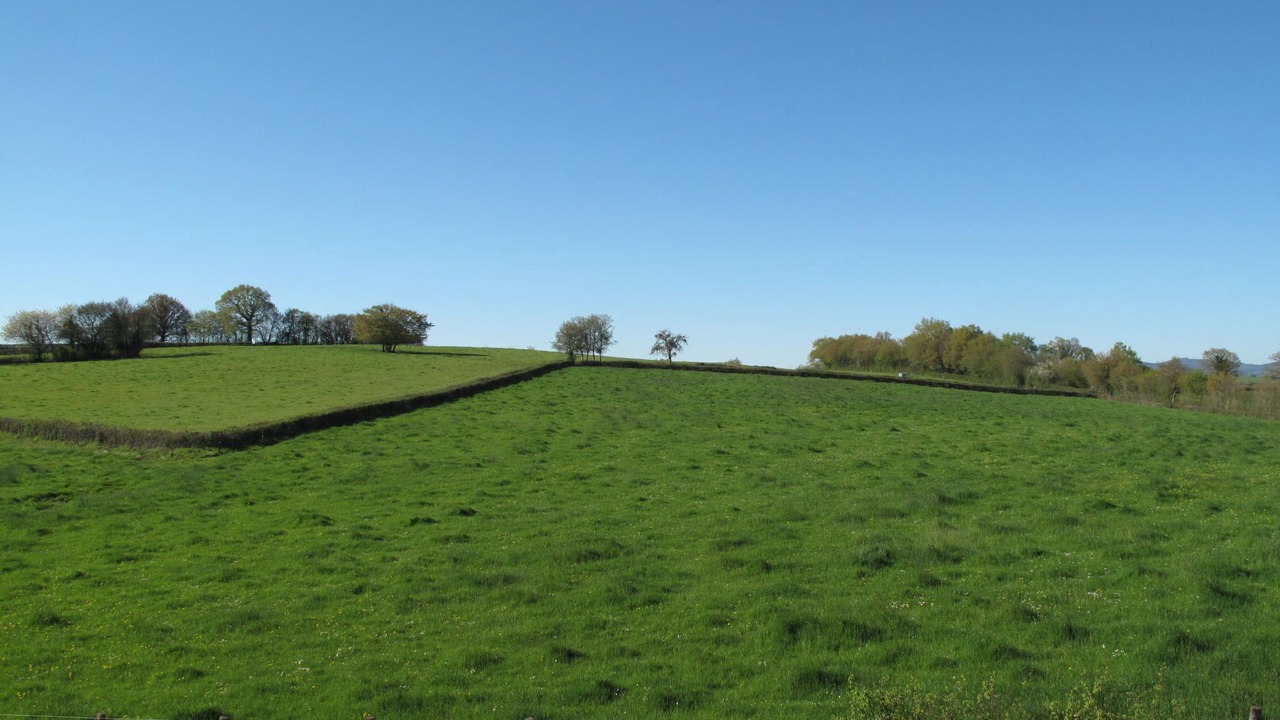 Photo of Others in Ternant