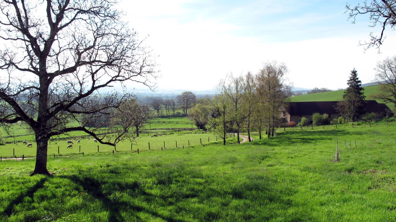 Photo of Others in La Grande-Verriere
