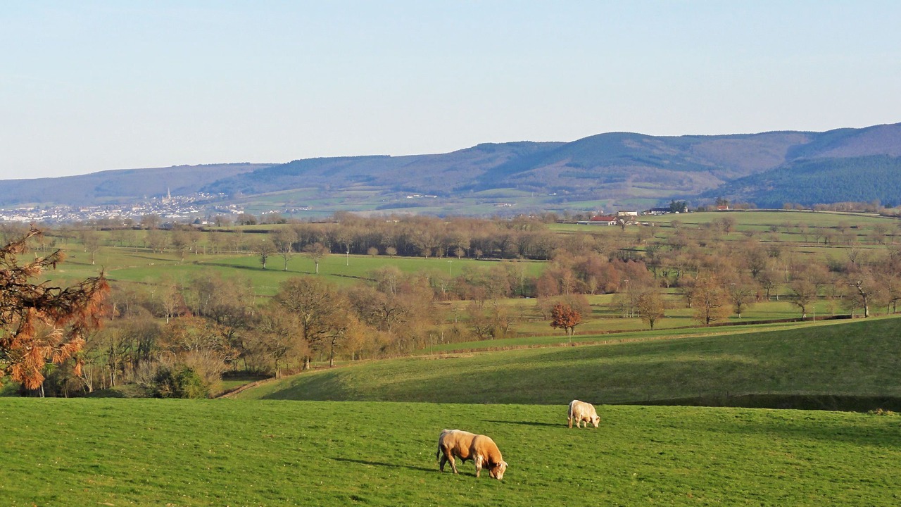 Photo of Others in La Grande-Verriere