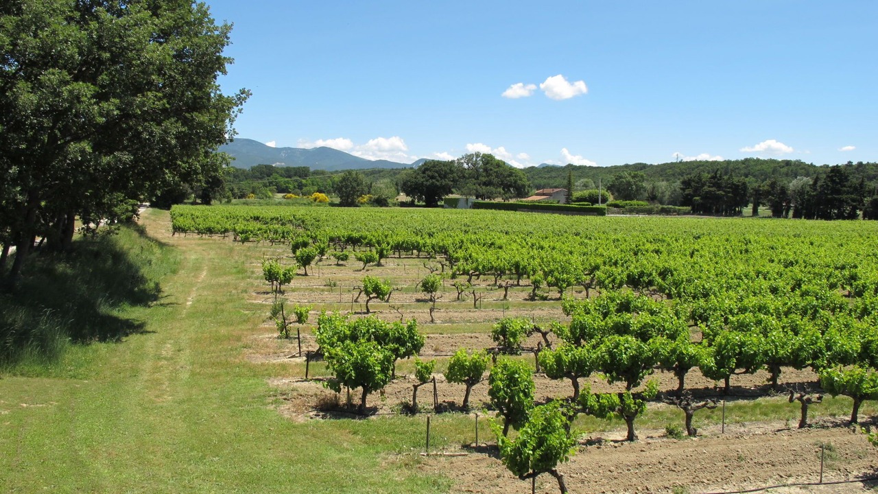 Photo of Outdoor in Grillon