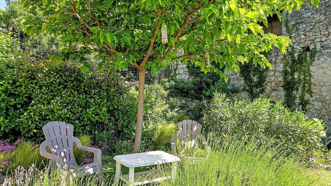 Photo of Others in Montreal