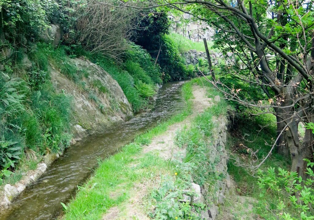 Photo of Others in Sainte-Marguerite-Lafigere