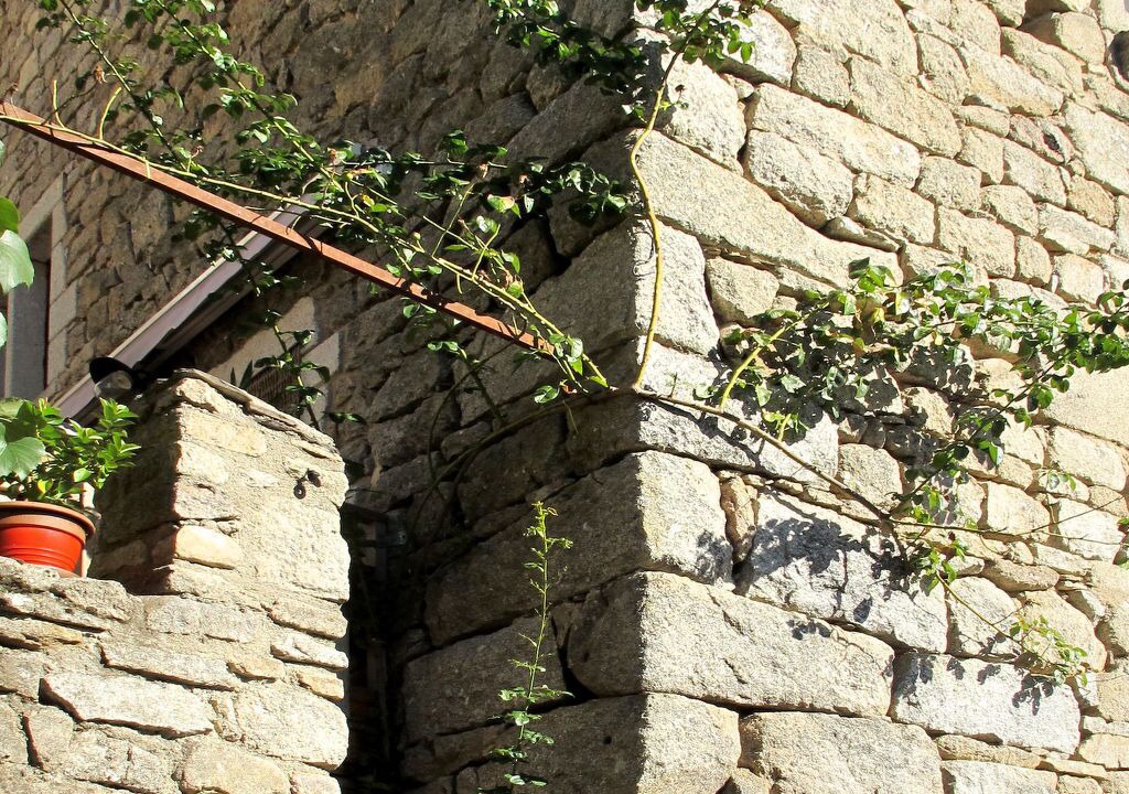Photo of Others in Sainte-Marguerite-Lafigere