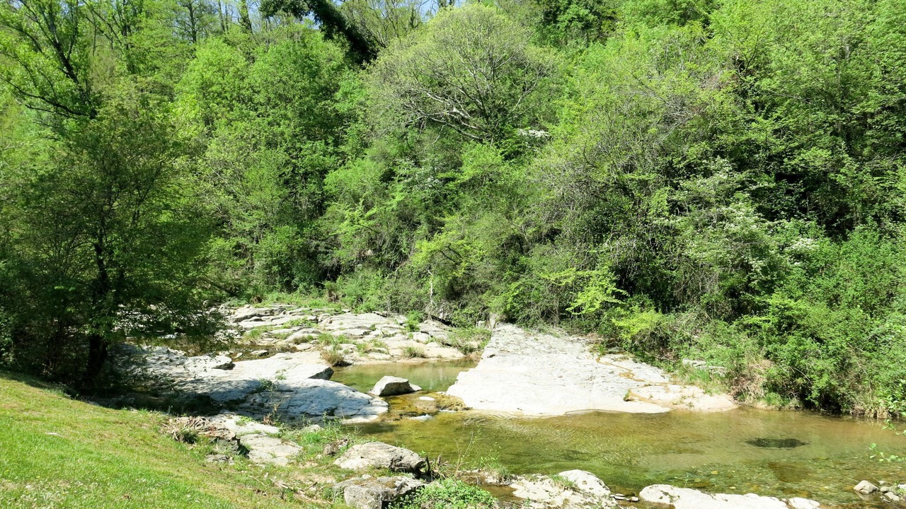 Photo of Others in Saint-Genest-de-Bauzon