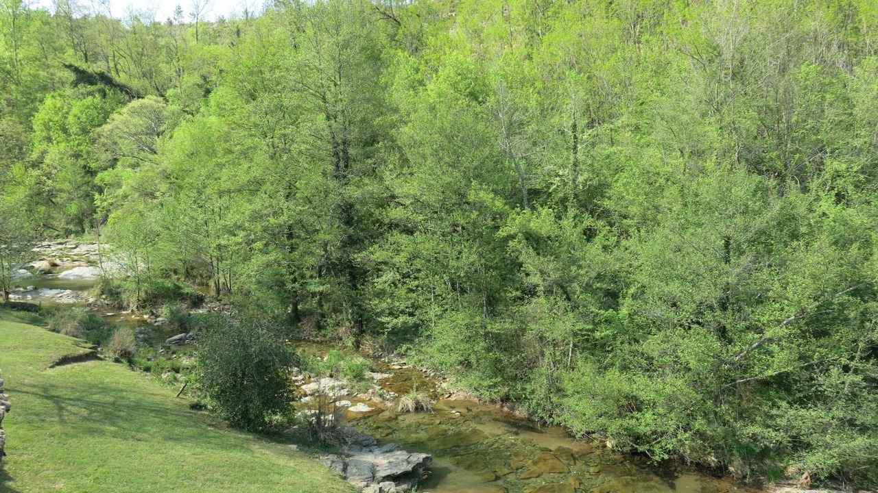 Photo of Others in Saint-Genest-de-Bauzon