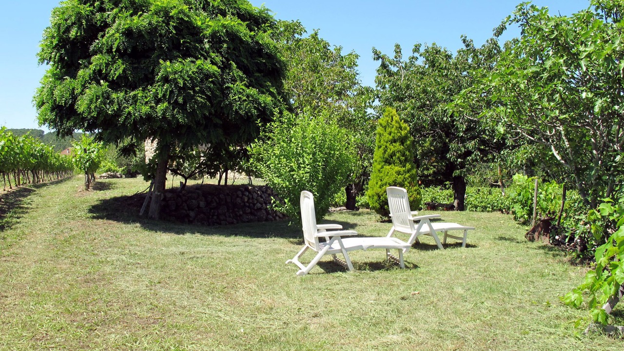 Photo of Others in Saint-Genest-de-Bauzon