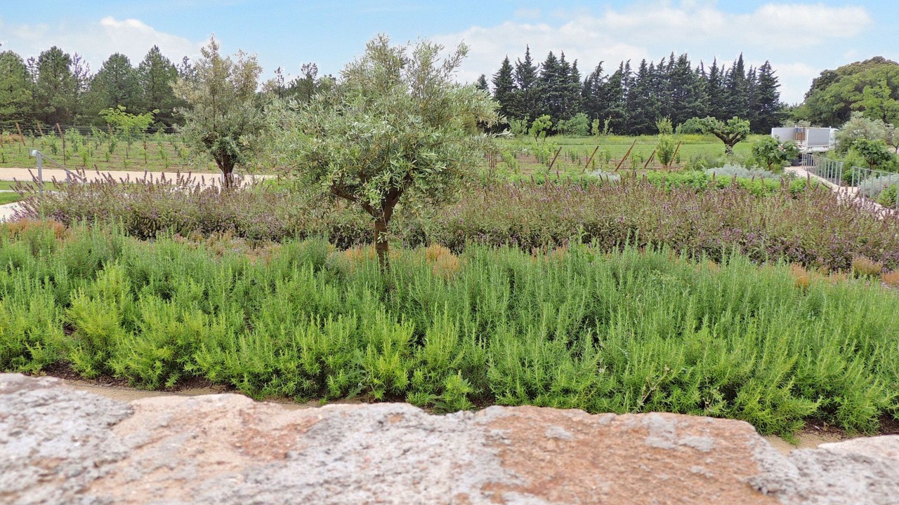 Photo of Others in Saint-Christol