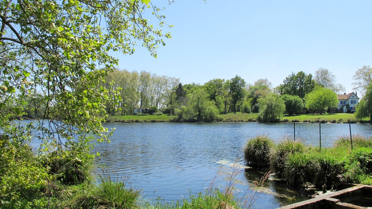 Photo of Others in Uza