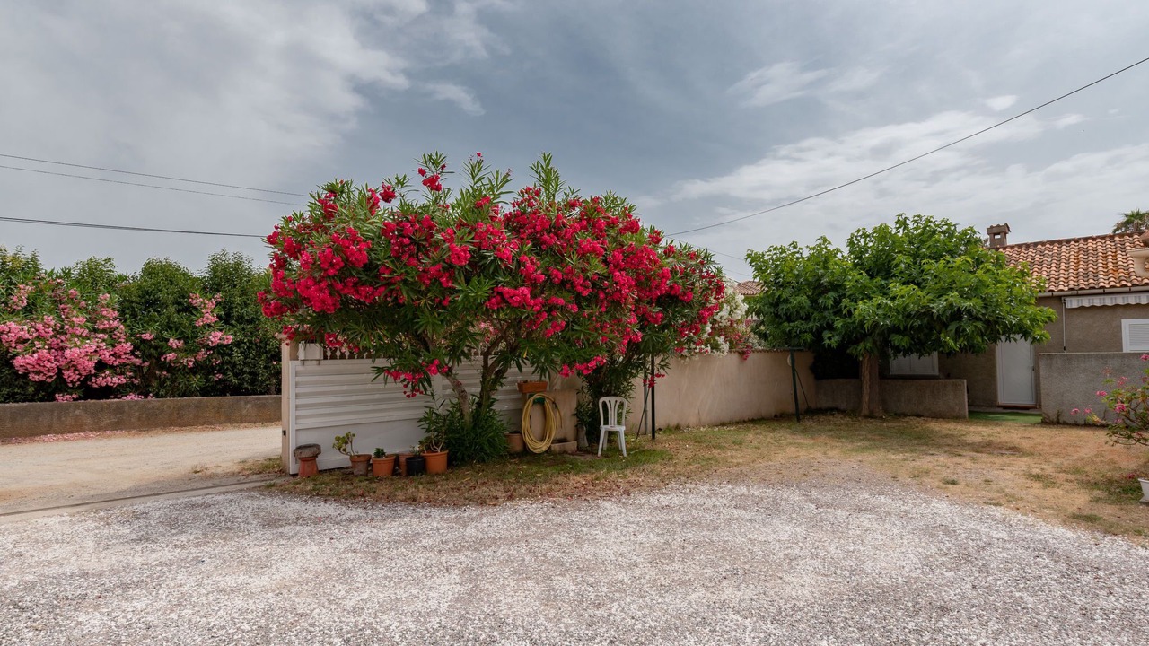 Photo of Outdoor in Santa-Lucia-di-Moriani