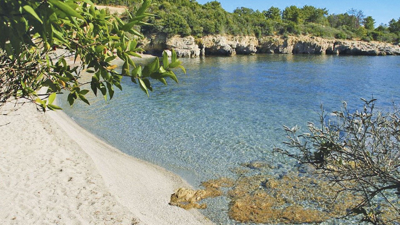 Photo of Others in Favone