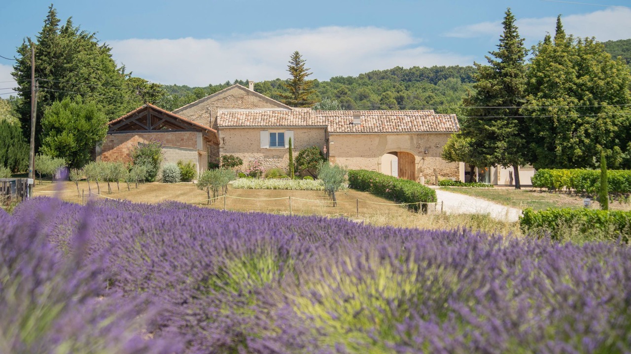 Photo of Others in Valreas