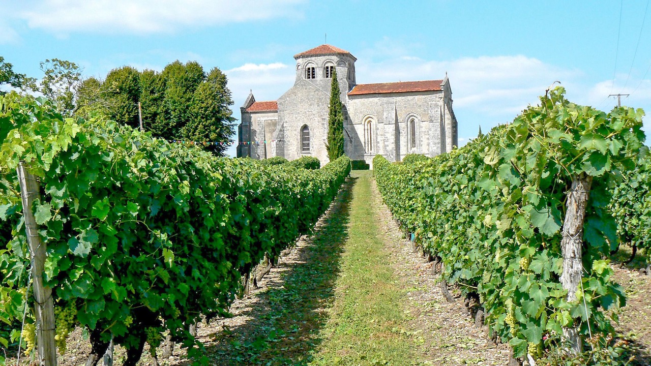 Photo of Others in Jonzac