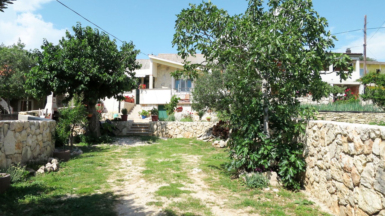 Photo of Outdoor in Slivnica