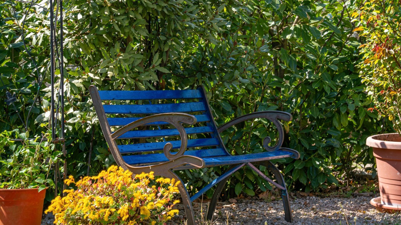 Photo of Outdoor in Njivice