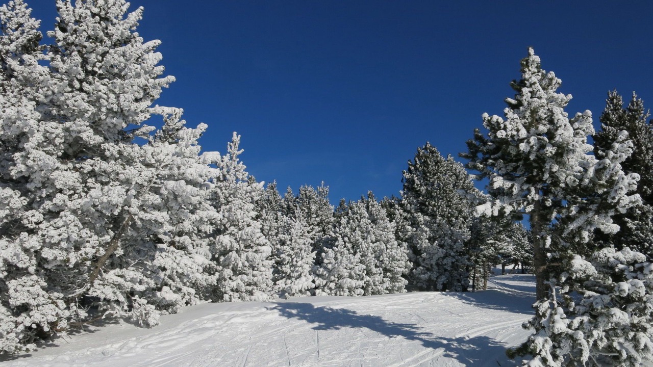 Photo of Others in Pyrenees 2000